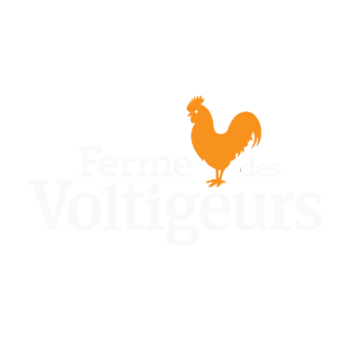 AMQ PREMIERE